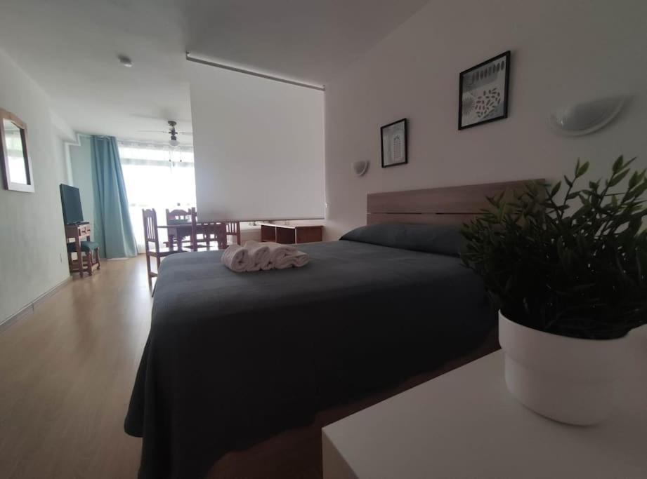 Apartament Roquetas Costa Roquetas de Mar Zewnętrze zdjęcie